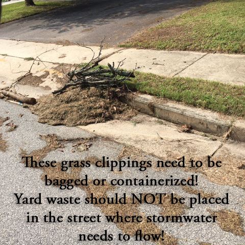 No Grass Clippings in the Street